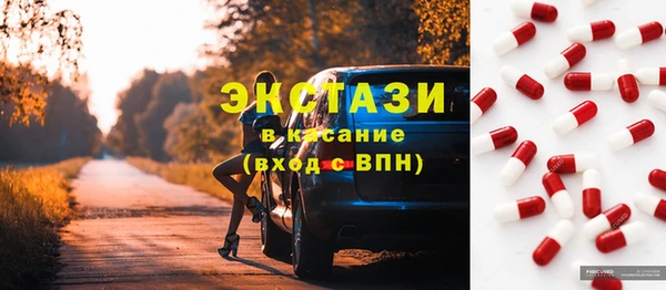стаф Алзамай