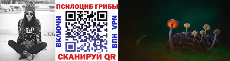 сайты даркнета клад  Александровск-Сахалинский  Галлюциногенные грибы ЛСД  hydra вход 